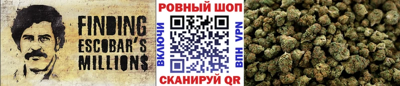 Где продают наркотики Закаменск COCAIN  ЭКСТАЗИ  Канабис  ГАШИШ  ОМГ ОМГ онион  А ПВП 