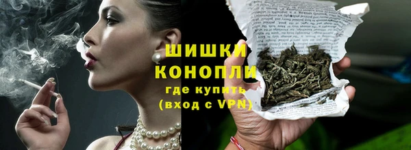 прущие грибы Вязники