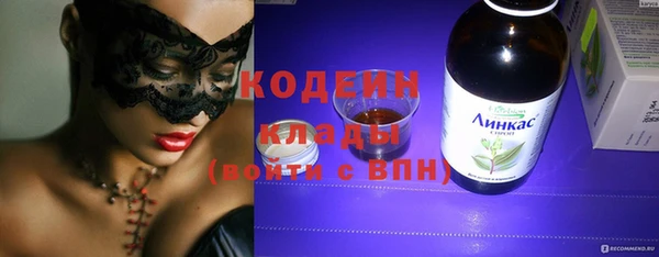 хмурый Долгопрудный
