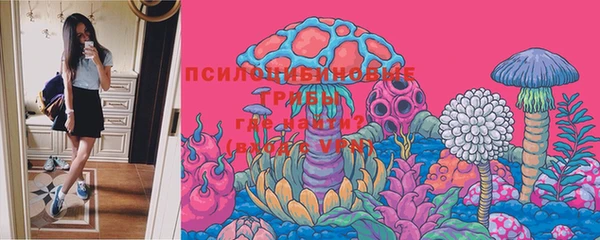 герыч Вязьма