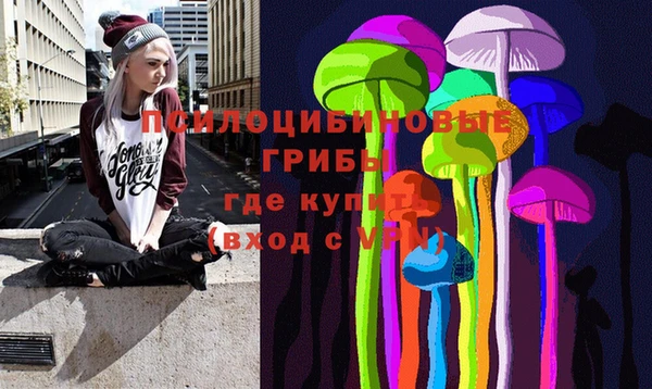 Альфа ПВП Володарск