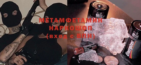 прущие грибы Вязники