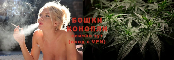 прущие грибы Вязники